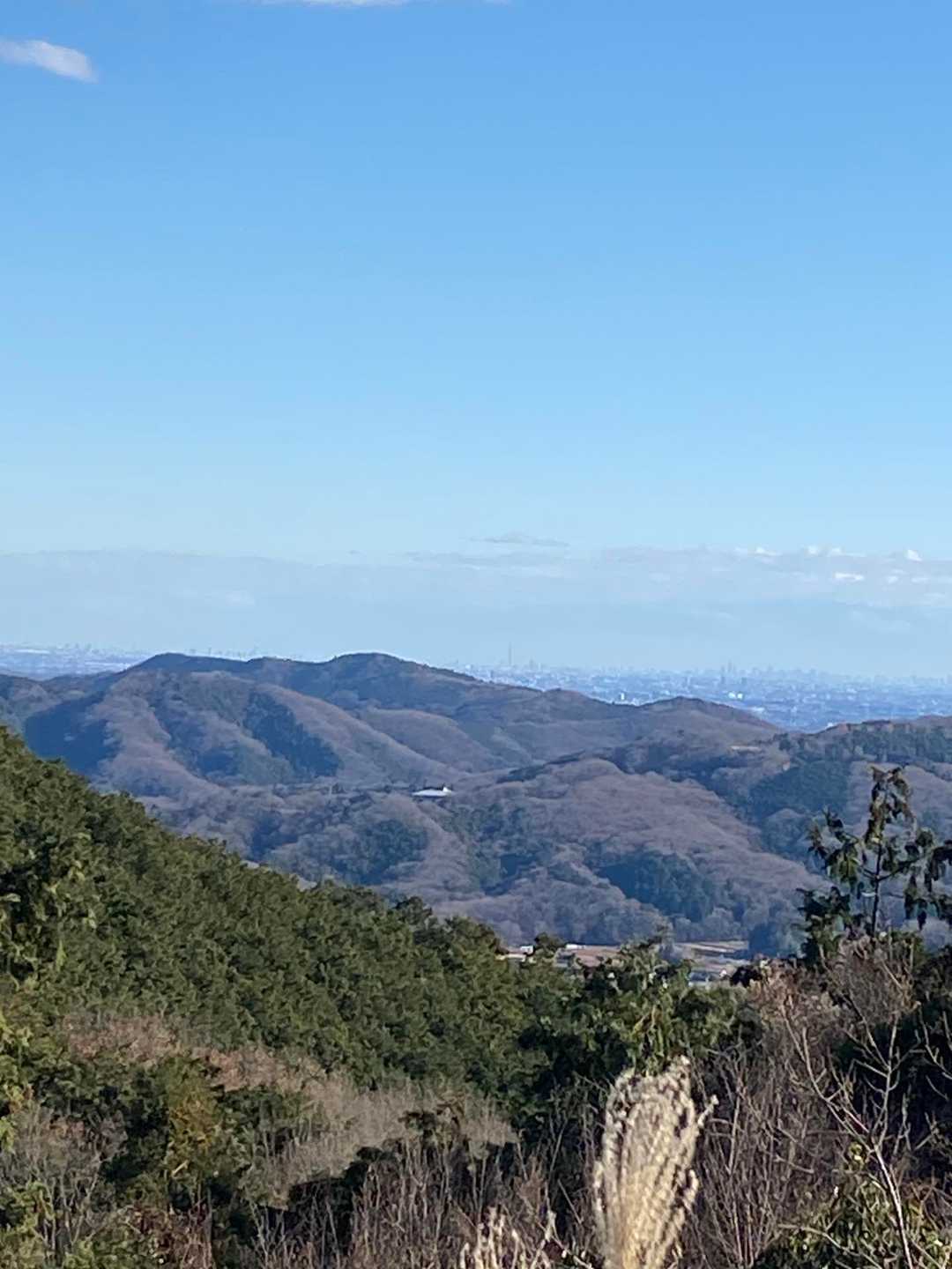 奥沢神社 奥宮-臼入山-烏森山-官ノ倉山-官ノ倉山登山口- 周回コースの写真
