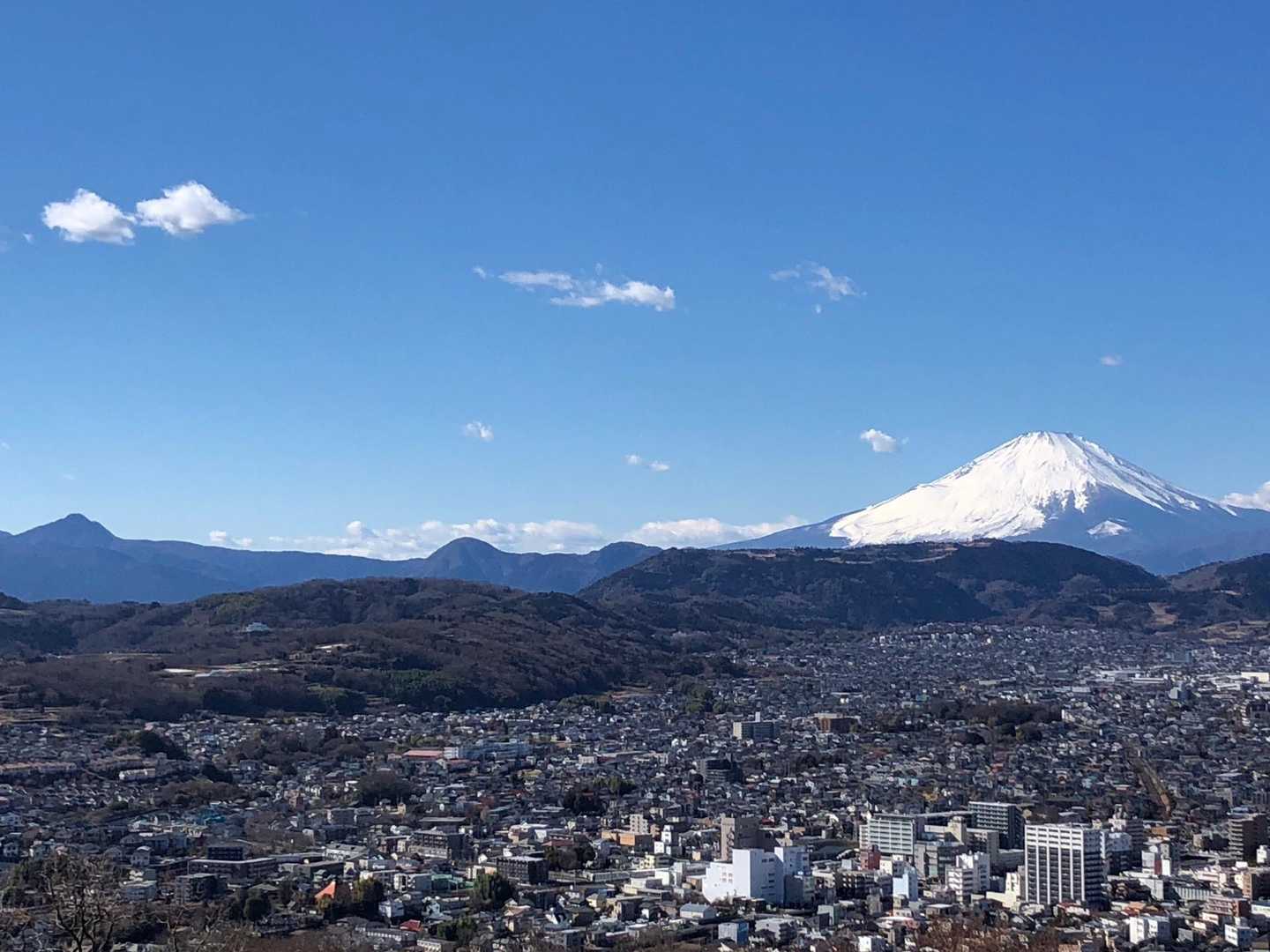 弘法山-権現山 往復コースの写真