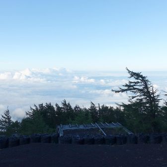 さすが2400m