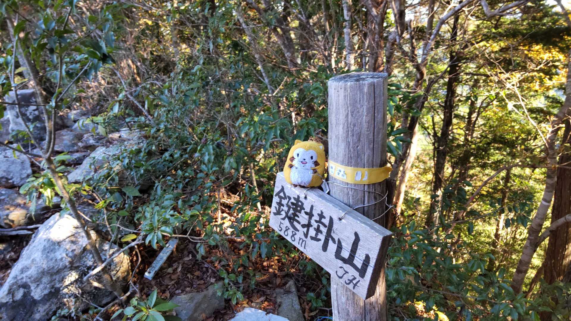 鍵掛山の写真