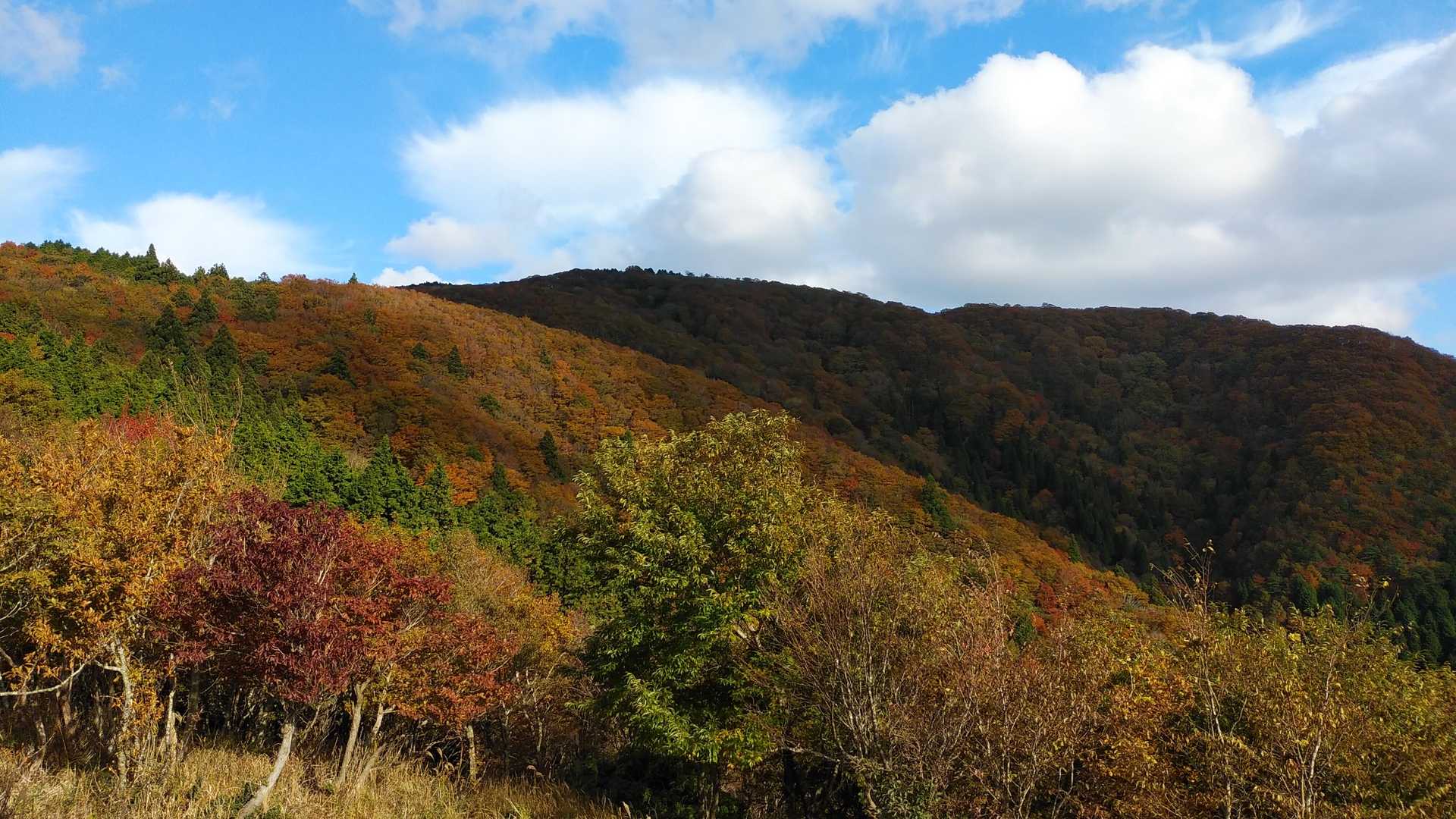 駒の尾登山口-駒の尾山 往復コースの写真