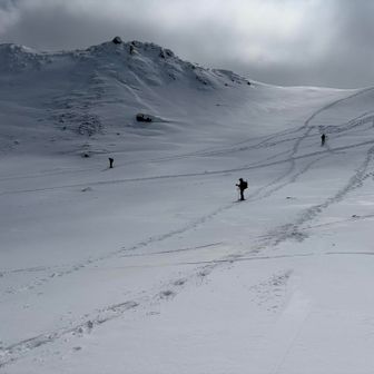男岳馬の背分岐