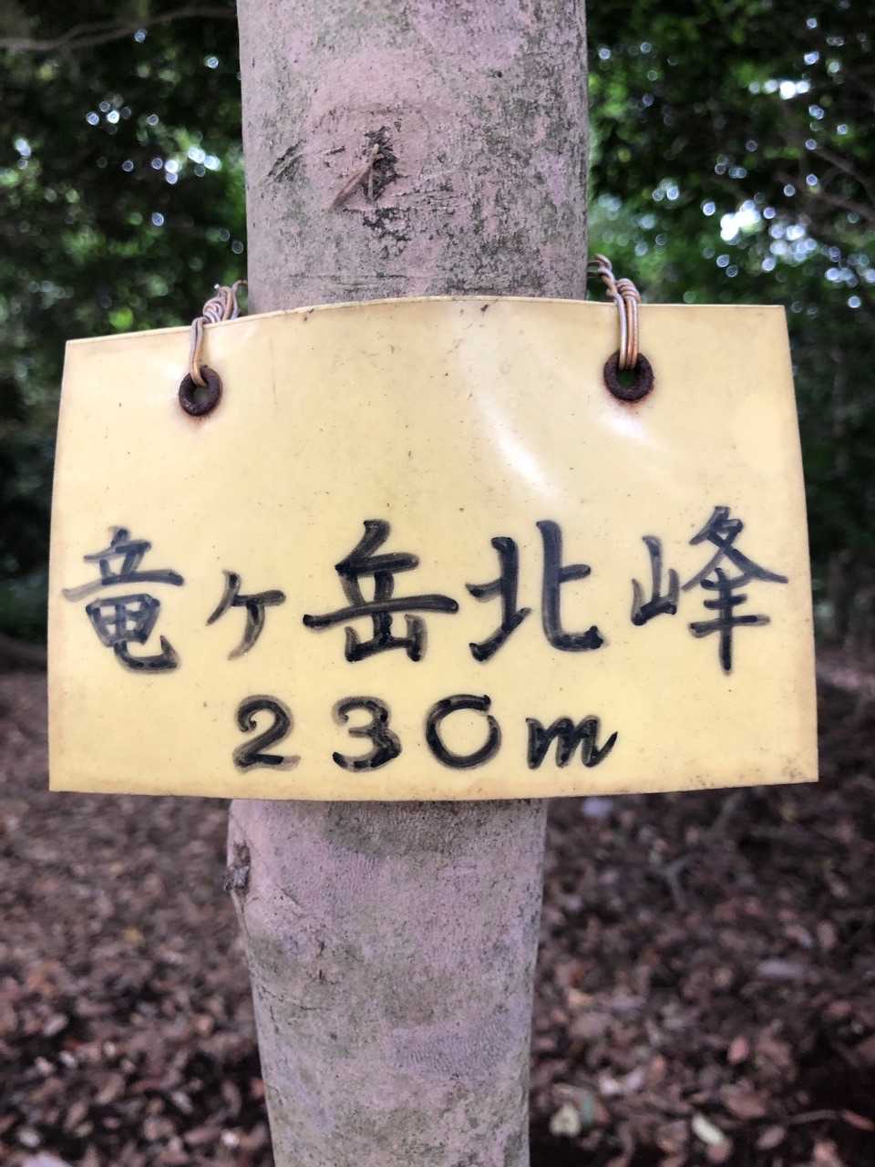 龍ヶ岳北峰山頂です⛰