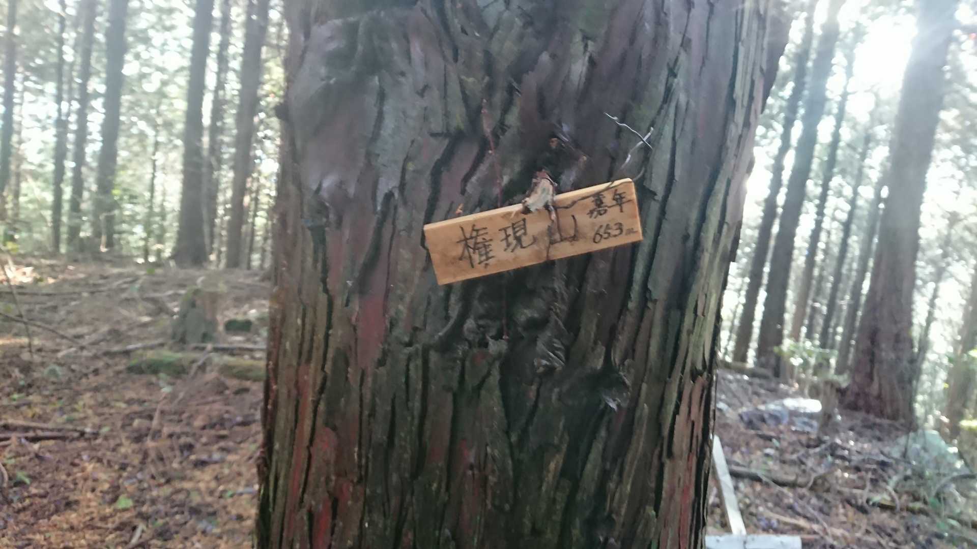 頂上
