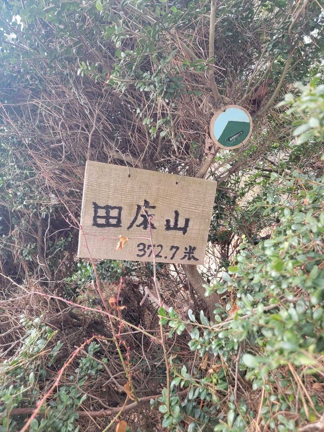 田床山 往復コースの写真