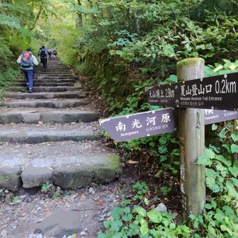 道はしっかり