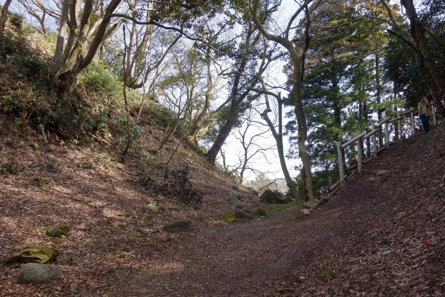 大堀切