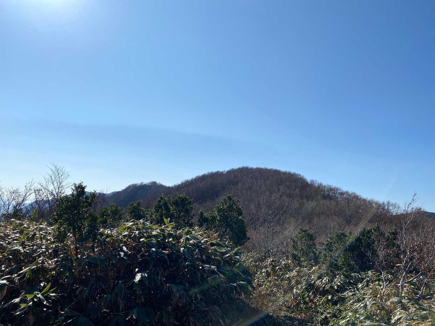 見えた