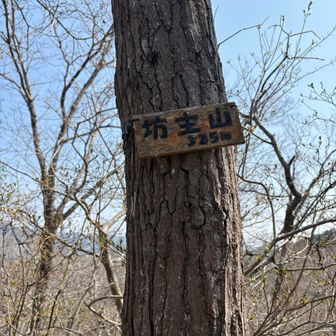 坊主山ちゃく🙌