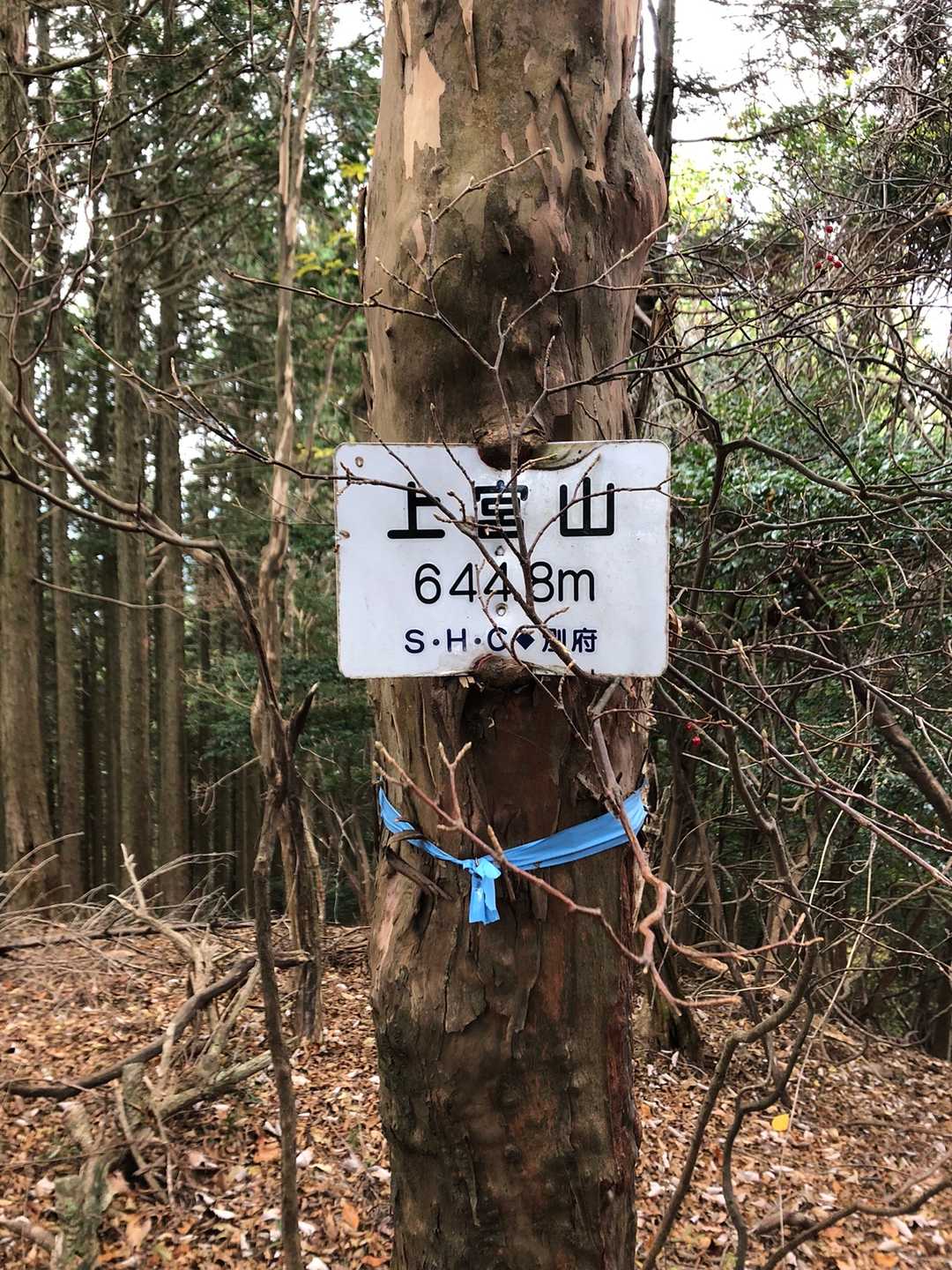 上宮山の写真