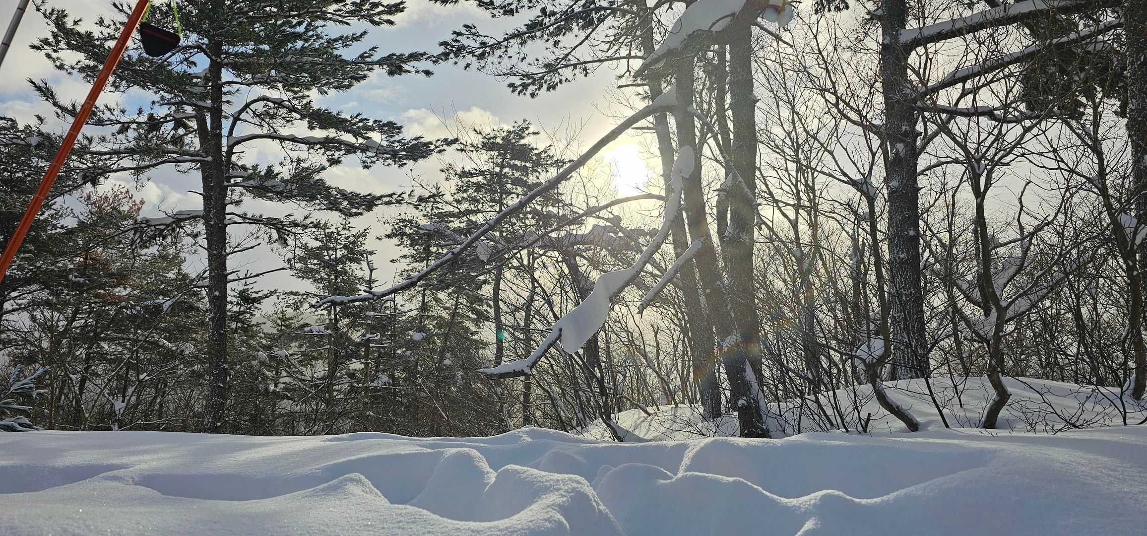 マキノ高原-赤坂山-三国山 縦走コースの写真