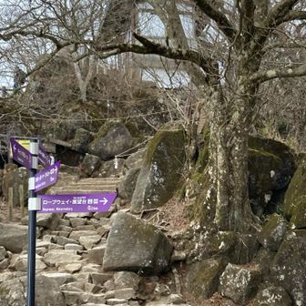 男体山と女体山を結ぶ道を行きます