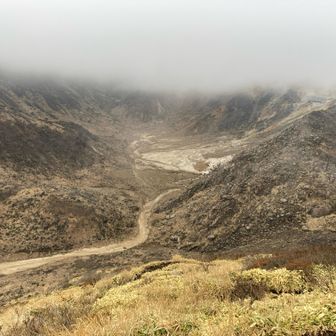 西峰と南峰との分岐の真下まで登って来た。ここまで泥々の急登。急に先に進むのが怖くなった。登っても何も見えないし。いろいろ理由を付けて山頂を諦めることにした。