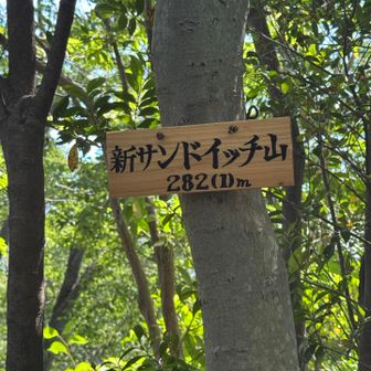 ありじごくの小径で新サンドイッチ山到着‼️