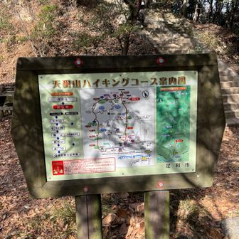 ふむふむ🤨
晴れ☀️てきたー