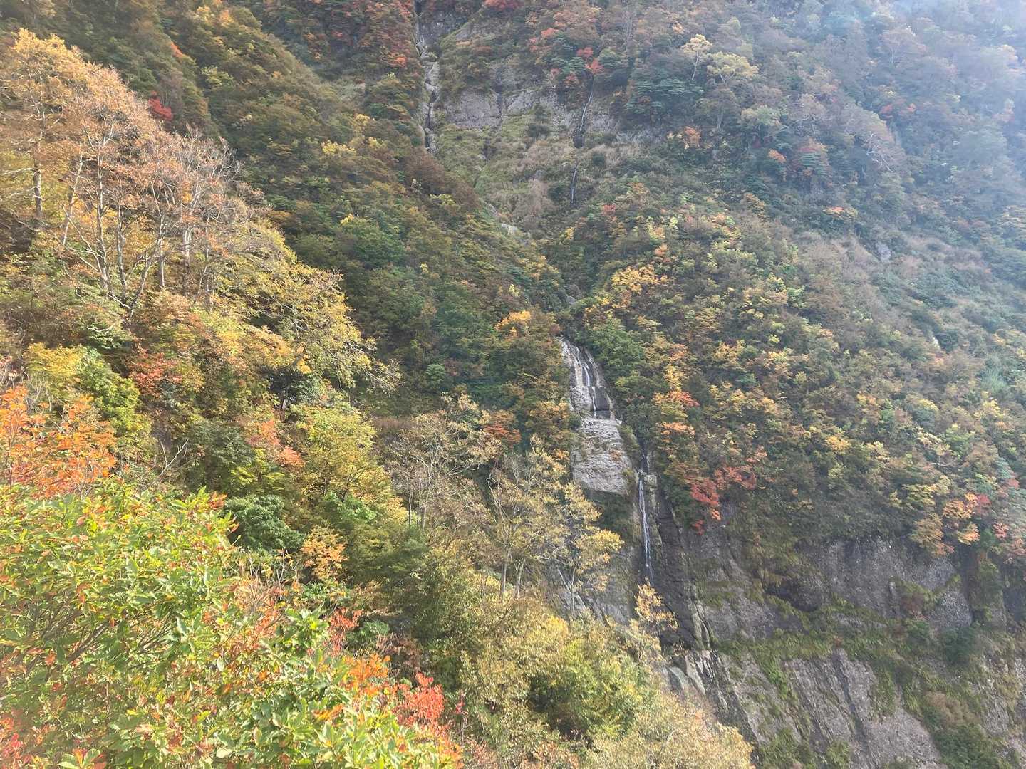 【周】八海山（2合目登山口）＜屏風道・八ッ峰・入道岳・新開道＞の写真