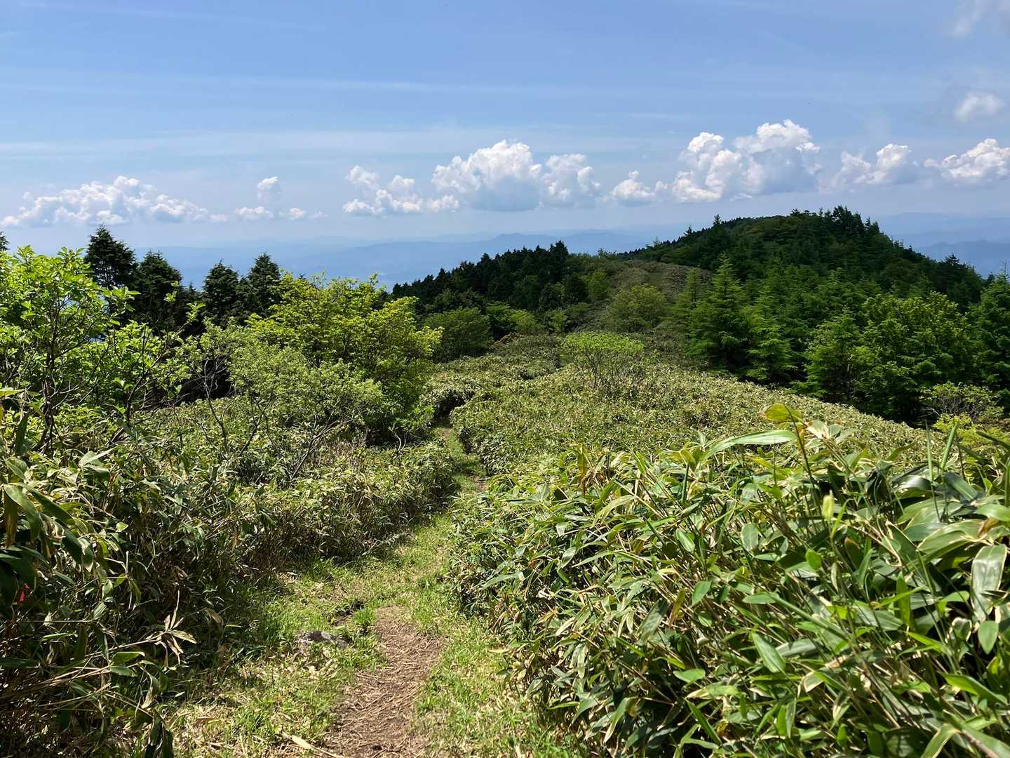距離は短いけど…短い方がありがたい(笑)
井水山への気持ちいい縦走路