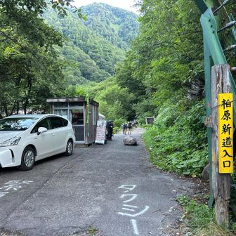 柏原新道入口