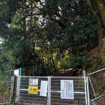 無事にゴール🙌（転けたけど😂）ちゃんとフェンスを閉め閉め。