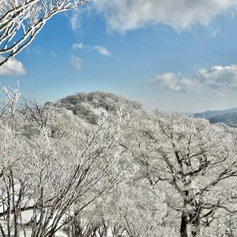此処は南国宮崎ですよ