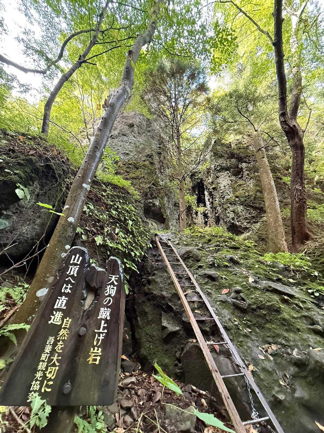 ハシゴ①