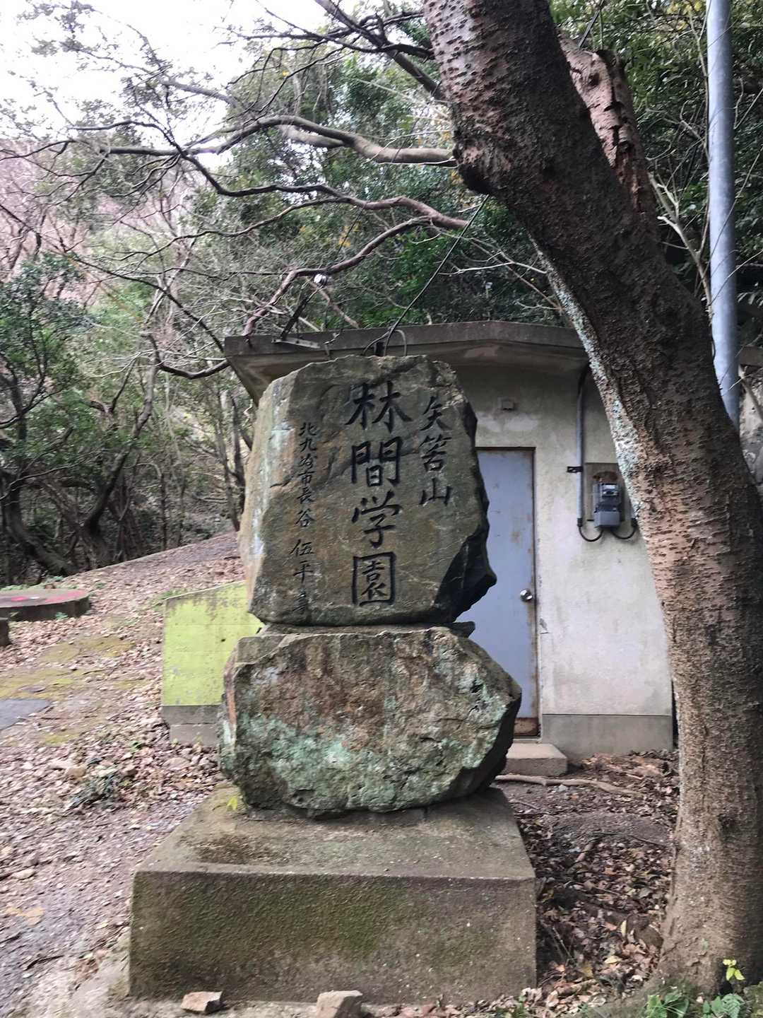 宜しくお願いします🙇