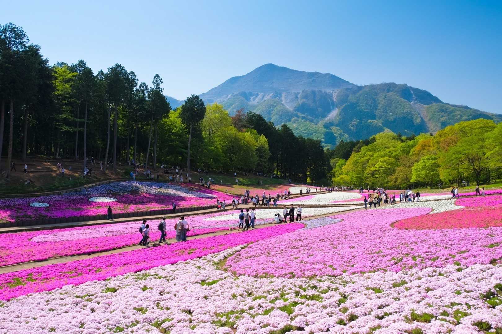武甲山の写真