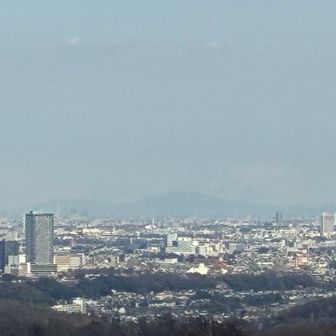展望台から②
左の高いビルのあたりは八王子、その奥には筑波山がうっすら