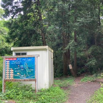 ピストンなので雨引山登り返し💪元気に下山できました😮‍💨