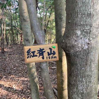 紅斉山山頂