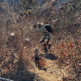 そして、藪漕ぎ四郎氏- ̗̀🌱- ̗̀🌱- ̗̀🌱