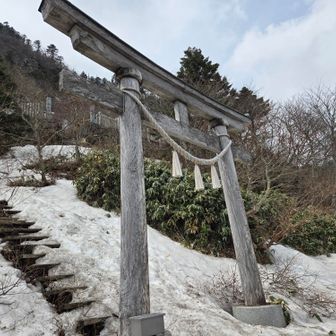 今年は雪が少ないです