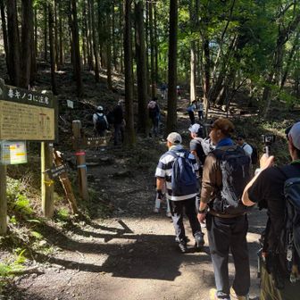 いよいよ宝登山登山口に到着⛰️