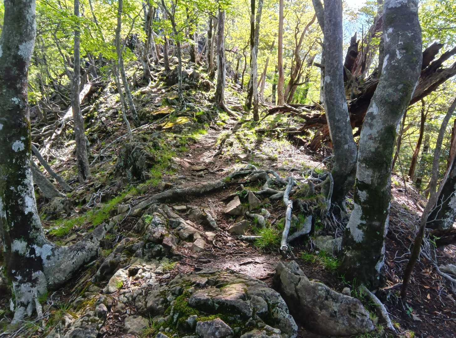 宇土内谷登山口-大崩山 往復コースの写真