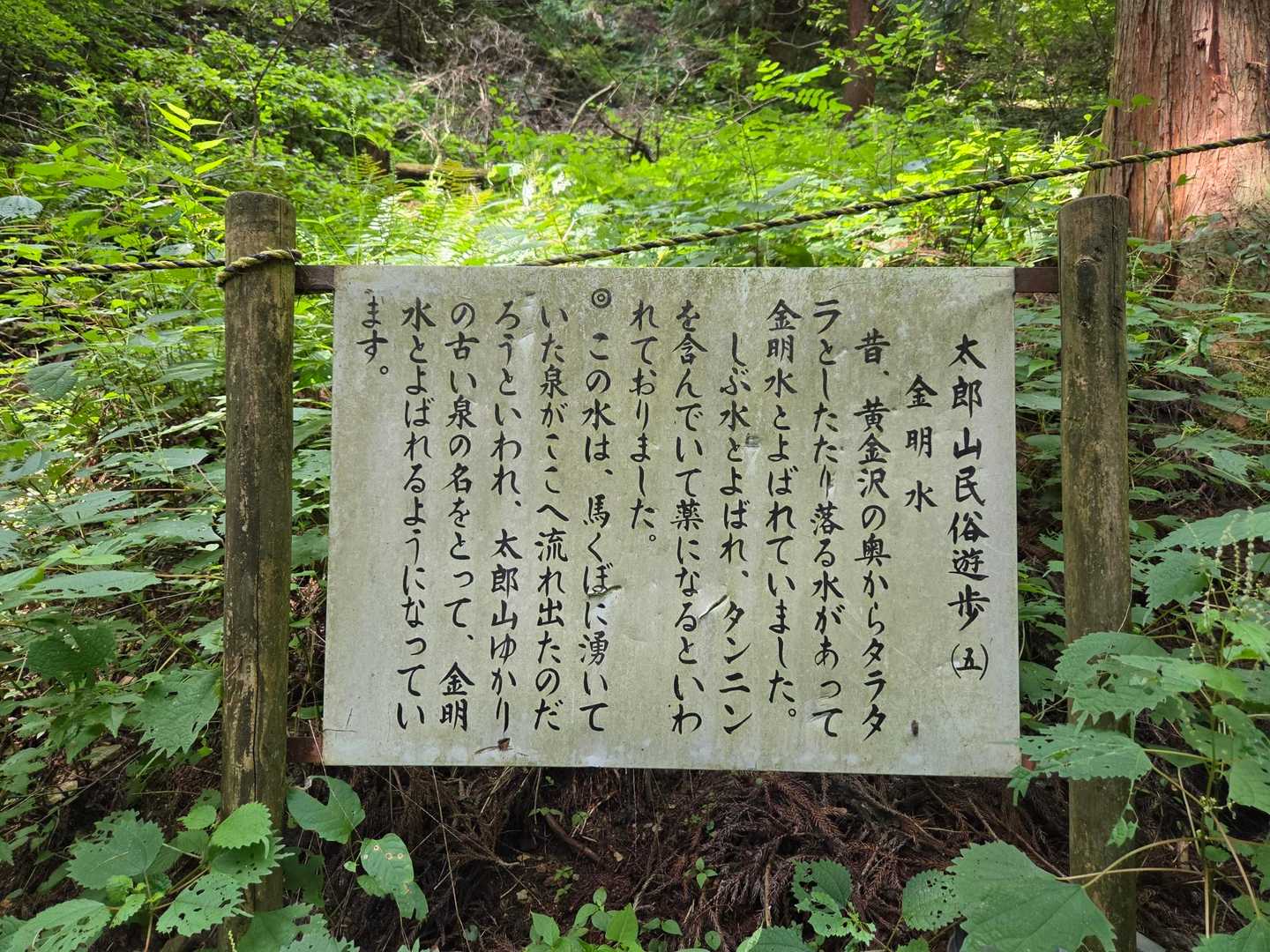 金明水🚰