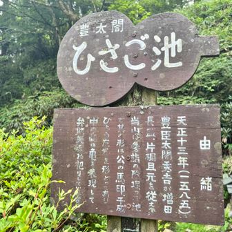 豊臣兄弟で出てきてほしいなー