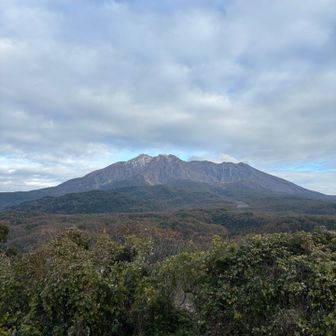 振り返ると桜島どーん