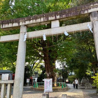 鳩森八幡神社