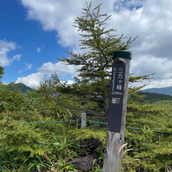 コマクサの群生地で有名。