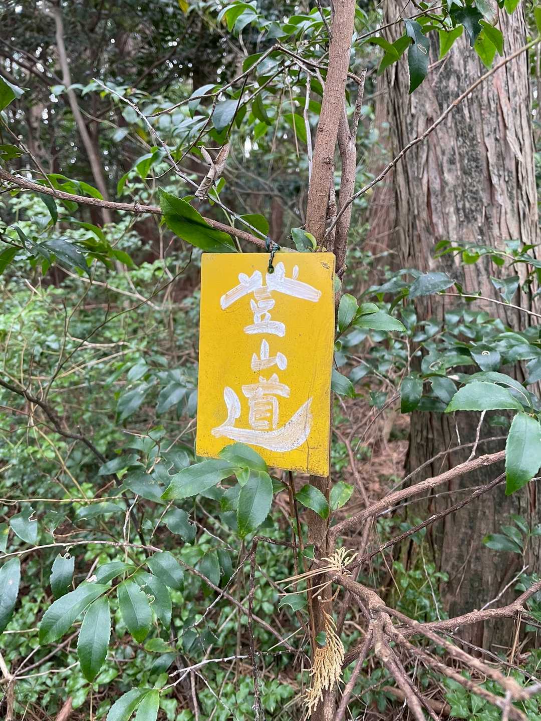 こちら方面でよく見る登山道プレート
安心します😌