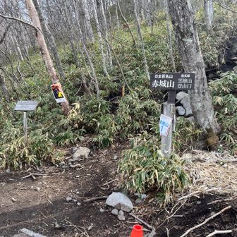 気温6℃😨▶️