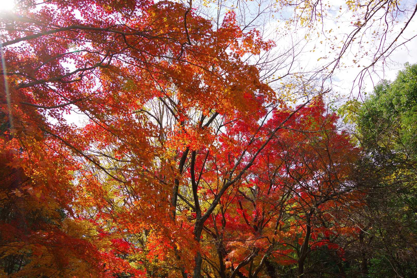 清水寺-清水山-清水山-永興寺 周回コースの写真