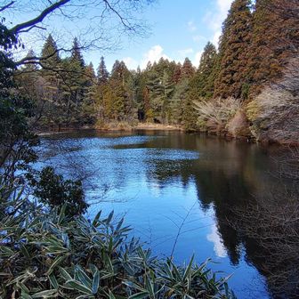 三国池
前来た時は一面凍ってたなぁ