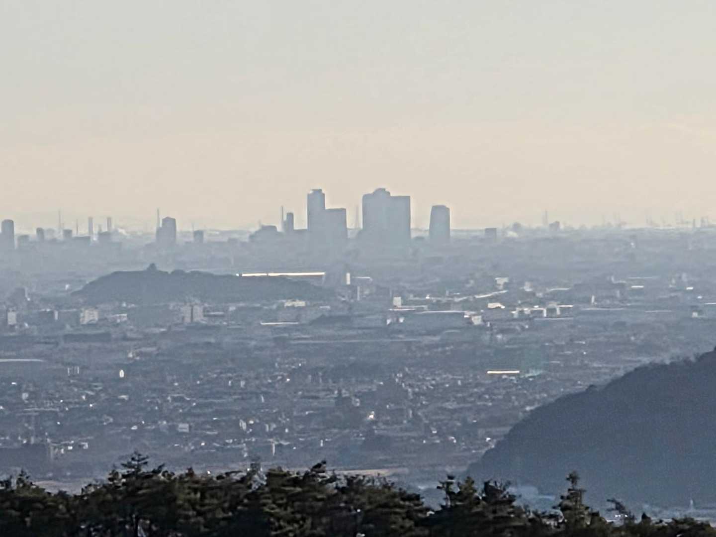名古屋ビル群🏙️