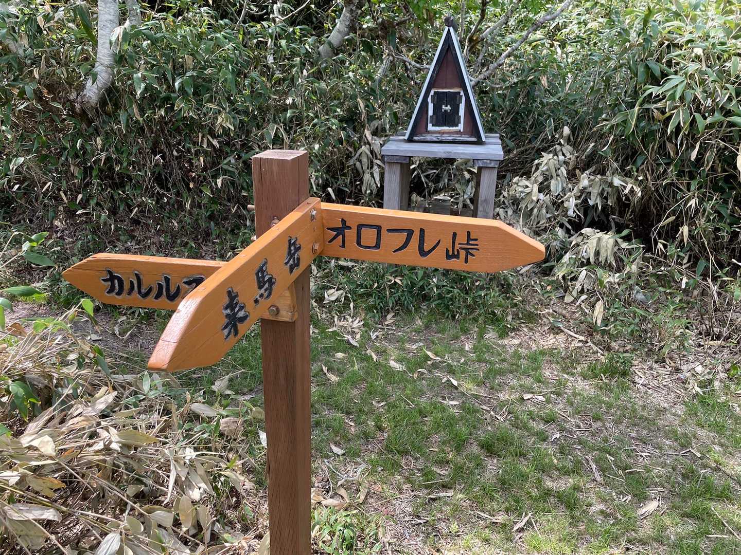 分岐に入山届、、、かと思って帰りも寄ってみたら通過届け？下山時間を書く欄なく通過時間のみ記入😅