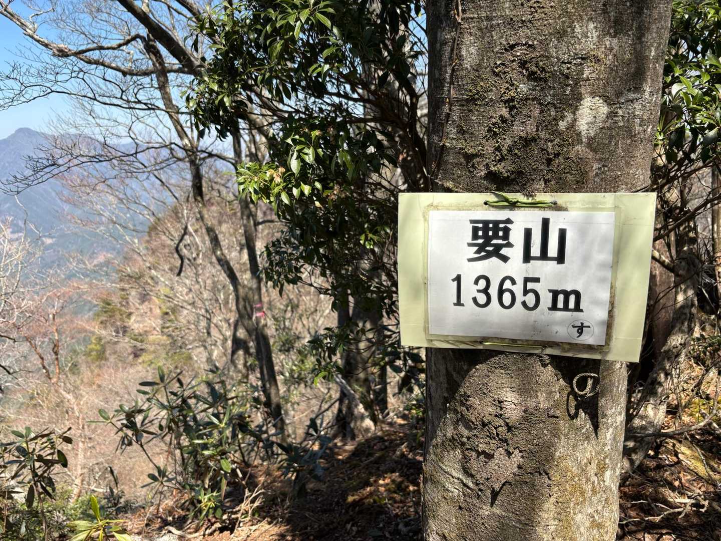 その先の要山へ

下山は夏木山新道から。

ゴールしてから歩いた距離を見てびっくり。
5kmちょっと⁉️
もーーっと歩いた気分。
緊張感あふれる楽しいお山でした😊