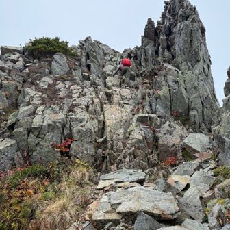 毎度の事ながら矢印⬆️と◎の暴力🤣