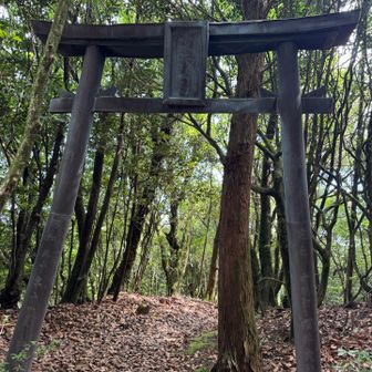 少し進むと➡️鳥居⛩️