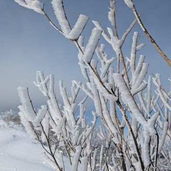 こちらも綺麗ですね
