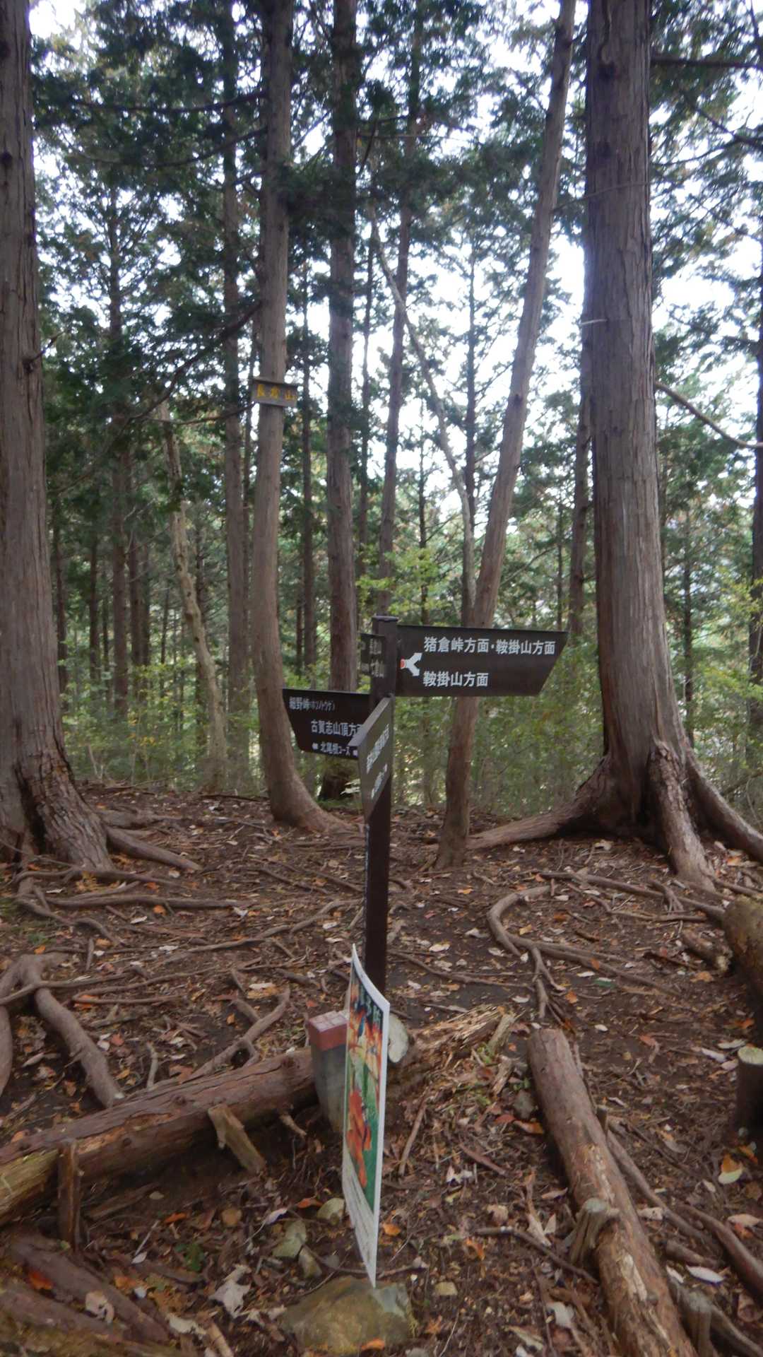 長倉山通過➰